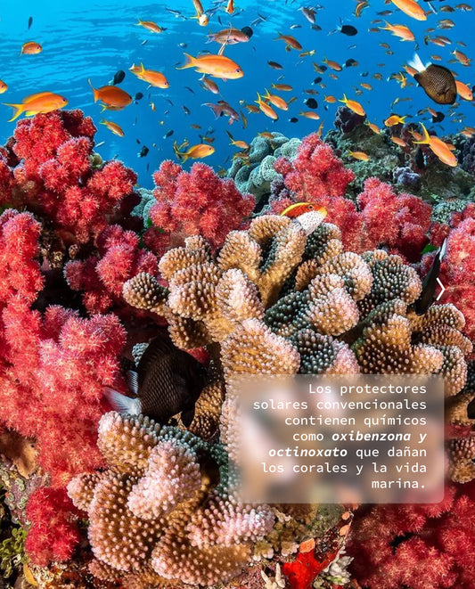 Protector Solar Eco-Natural - ARUNÁ