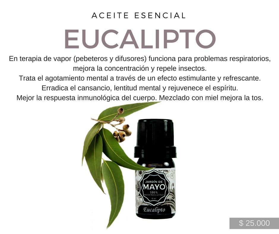Aceite Esencial de Eucalipto 5 ml - JARDÍN DE MAYO
