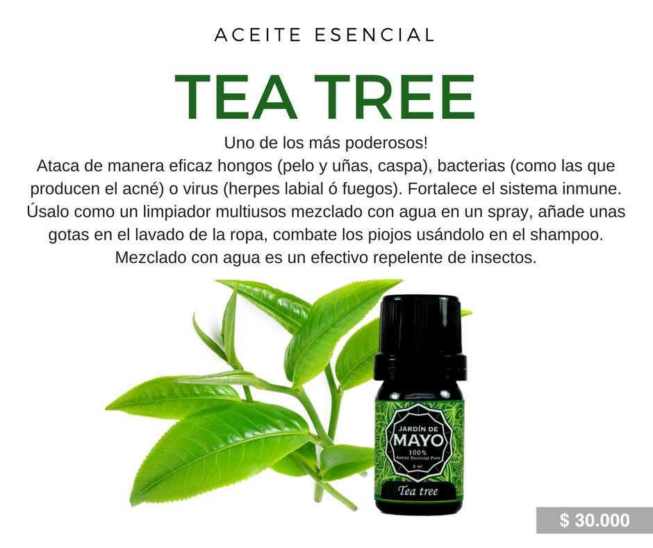 Aceite Esencial de Tea Tree 5 ml - JARDÍN DE MAYO