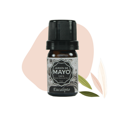 Aceite Esencial de Eucalipto 5 ml - JARDÍN DE MAYO